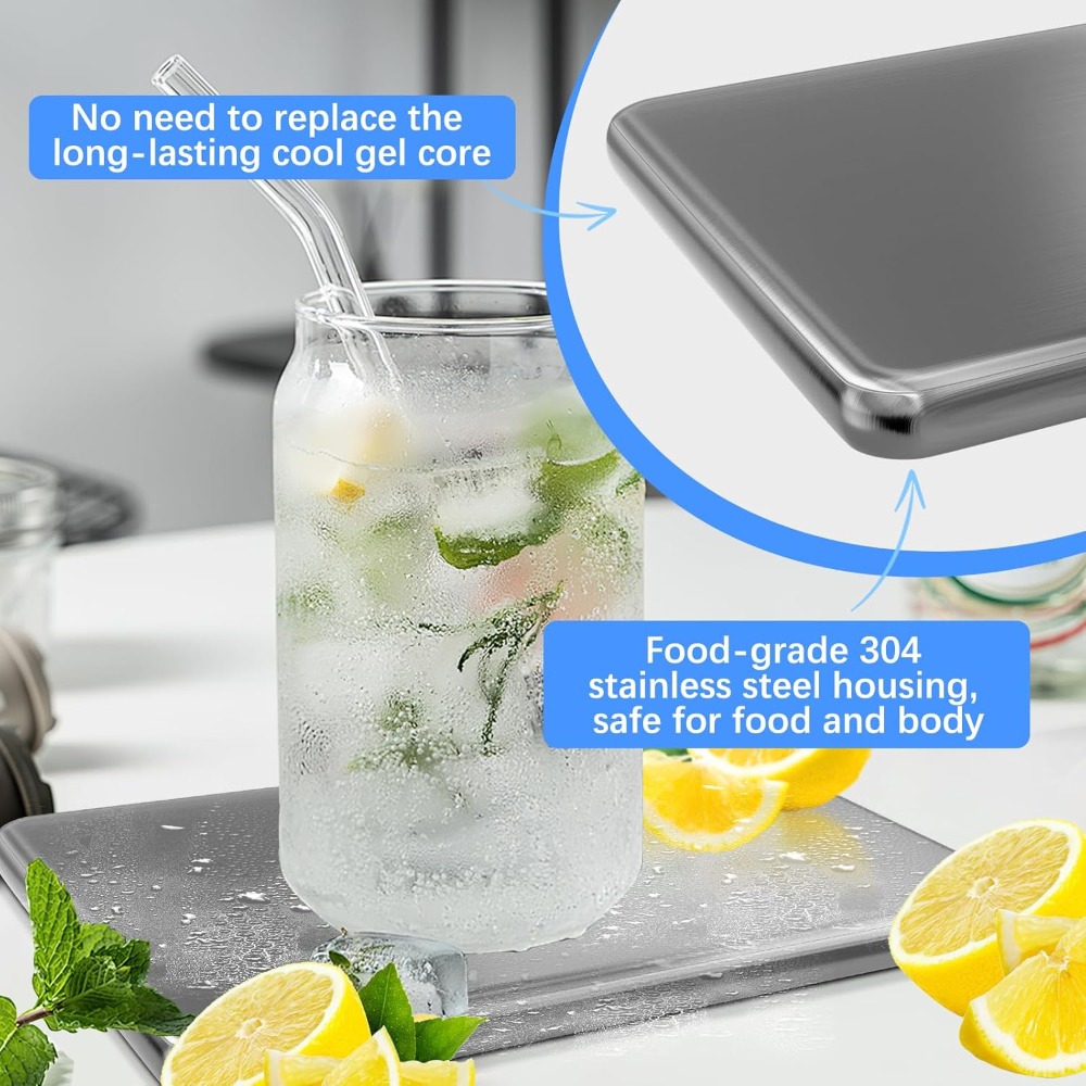 Packs de glace réutilisables e - Ice Bucket Silver avis et prix